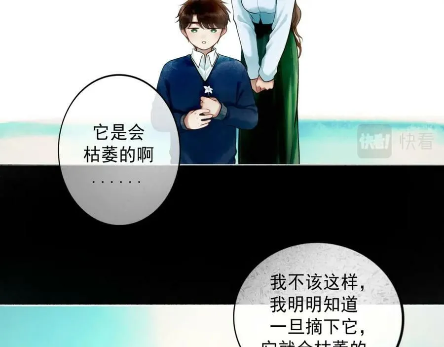 81.星星花 第15页