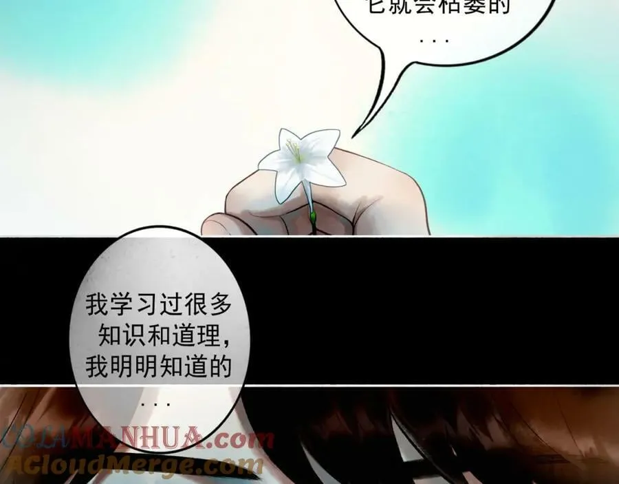 81.星星花 第16页