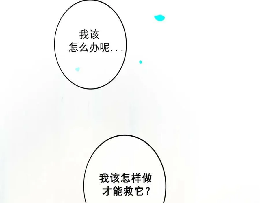 81.星星花 第18页