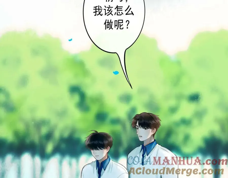 81.星星花 第22页