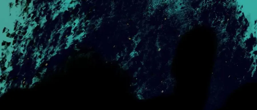 81.星星花 第30页