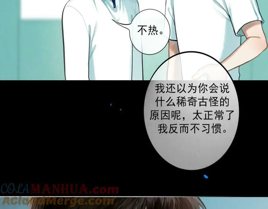 81.星星花 第46页