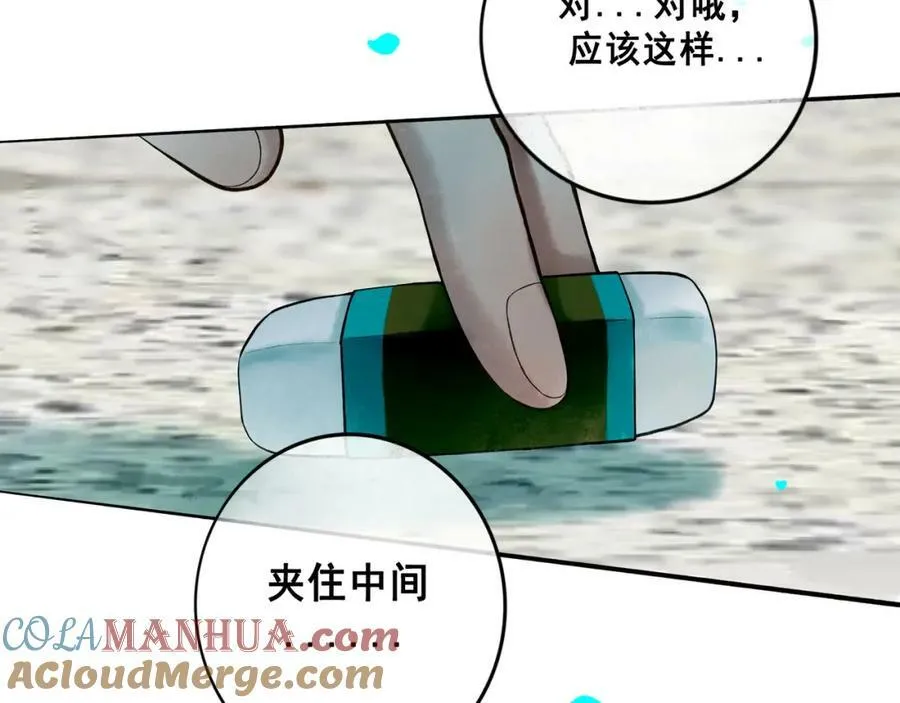 81.星星花 第67页