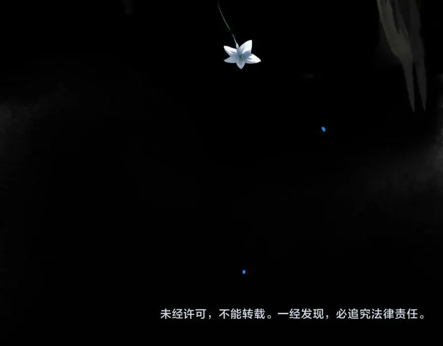 81.星星花 第83页