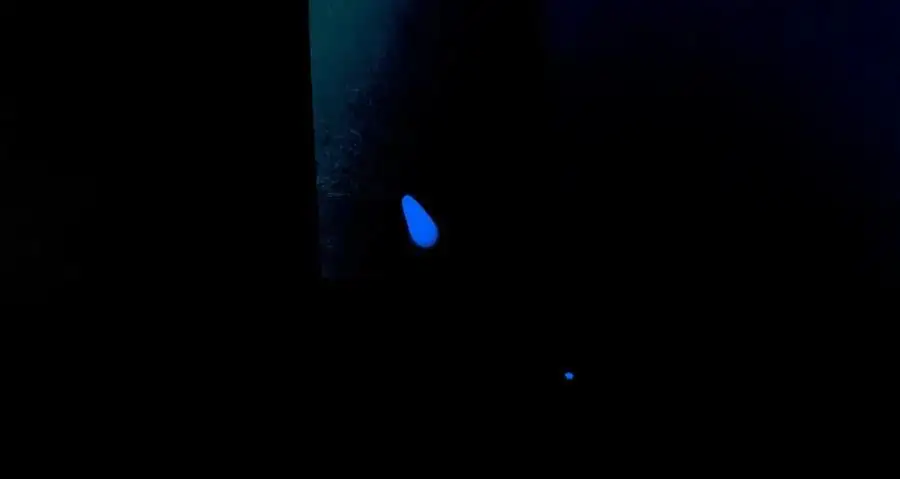 95.逃 第106页