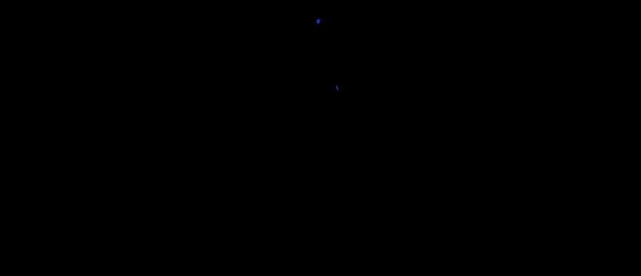 96.否定 第60页