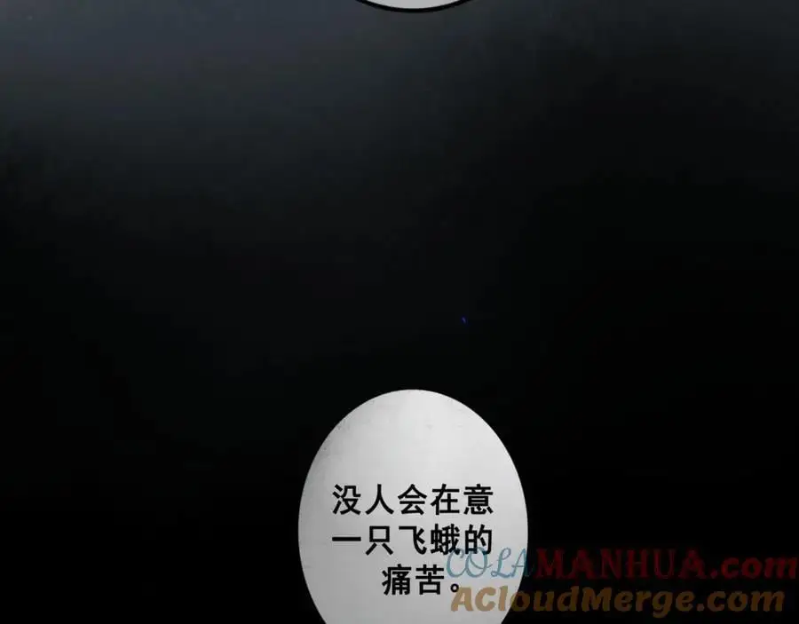 97.扑火之蛾 第25页