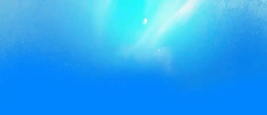 99.逆流 第90页