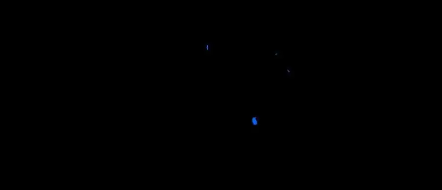 101.再现前奏 第40页
