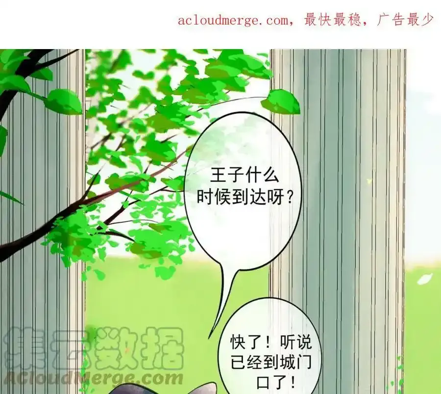 76.夜行之鸟 第1页