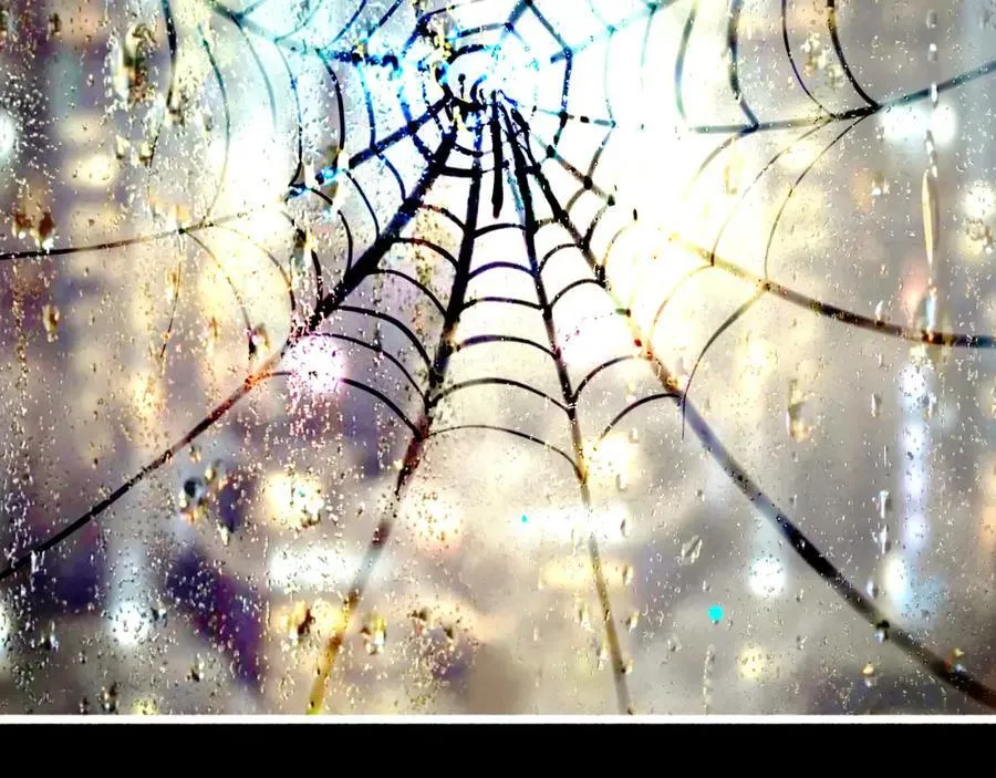107.曙光 第122页