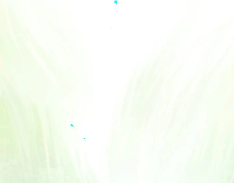 113.一场冬雪 第208页