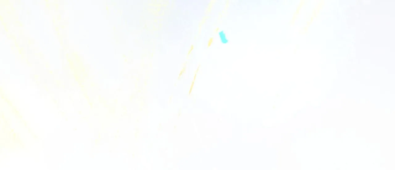48.糖 第10页