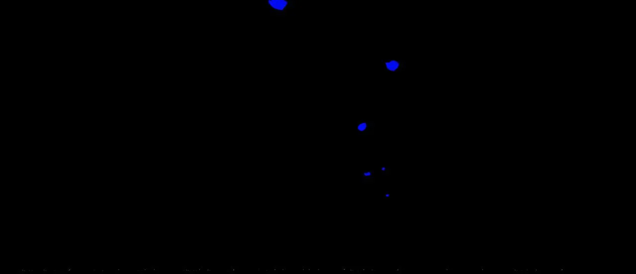 39.至真 第113页