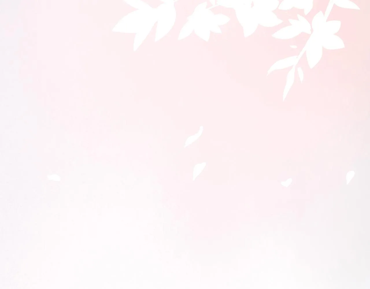 24.朝南 第42页