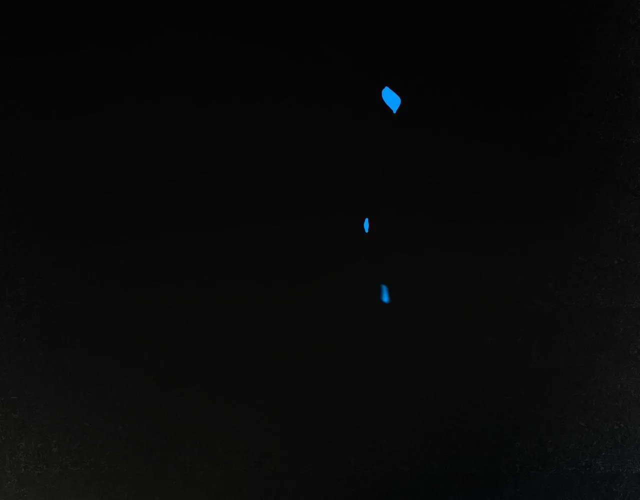 59.阑珊处 第96页