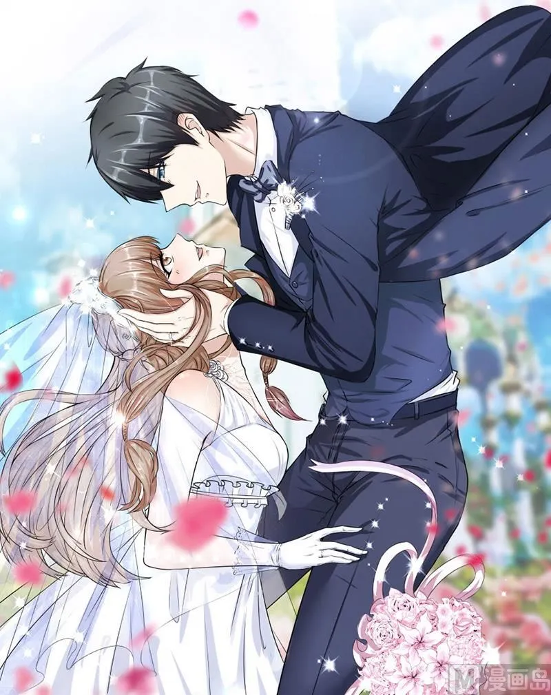 错嫁VS替婚 第17页
