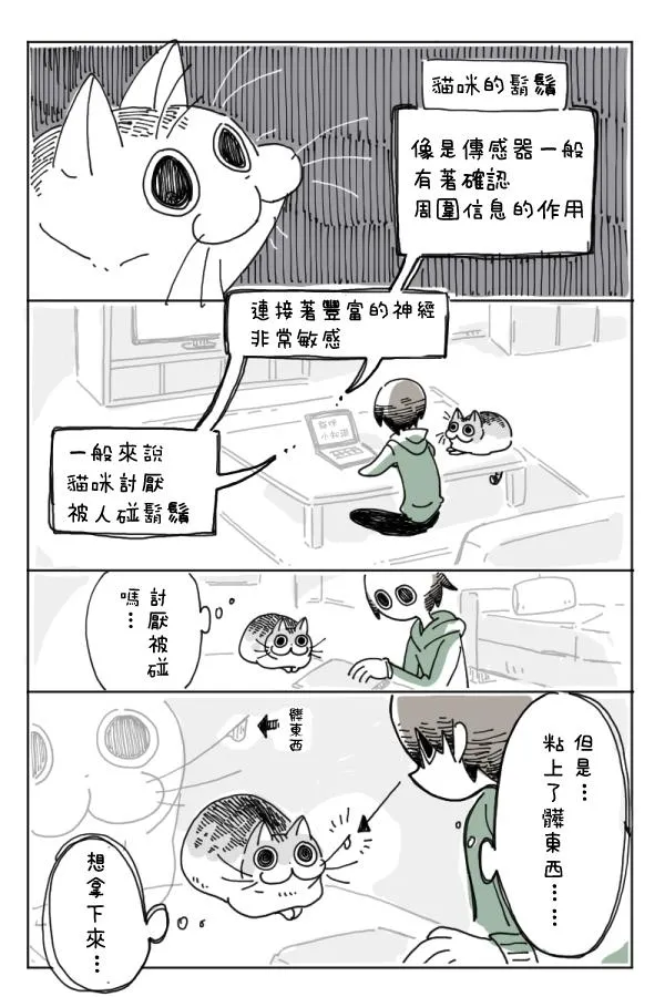 第4话 第7页