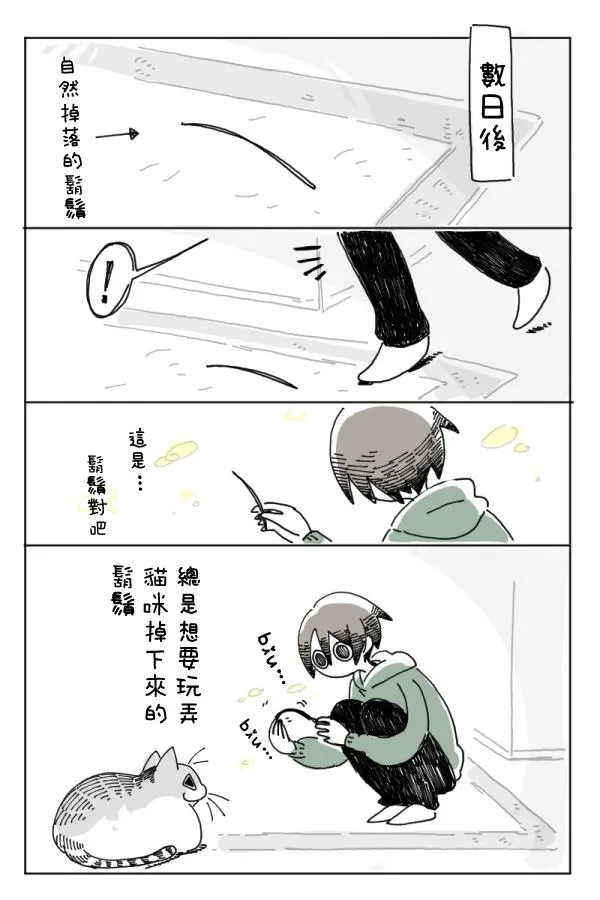第4话 第11页