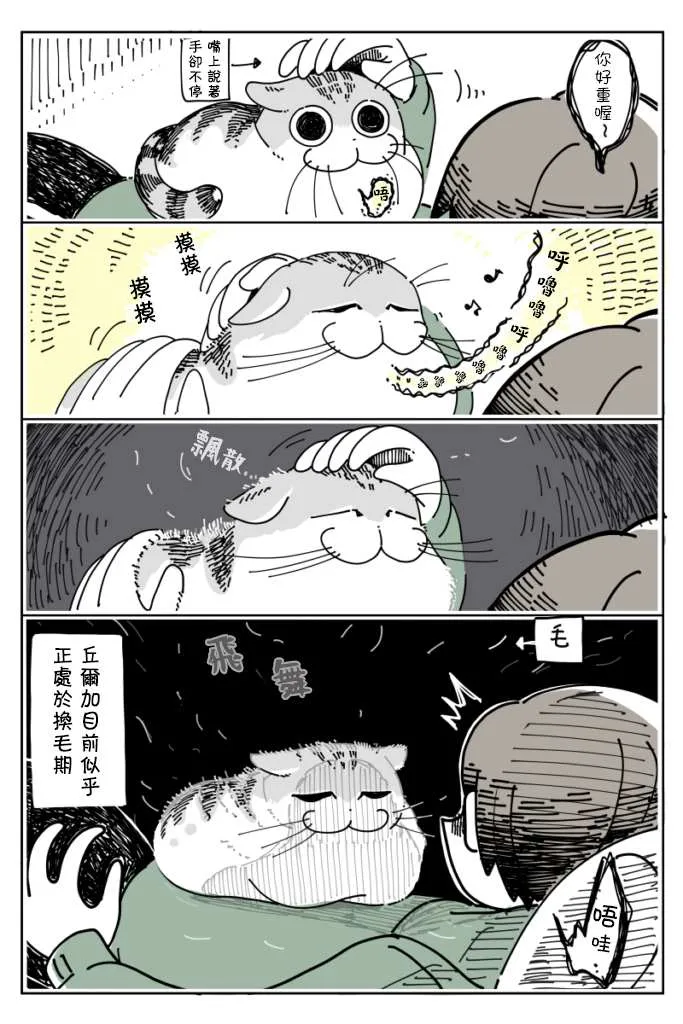 11话 第2页