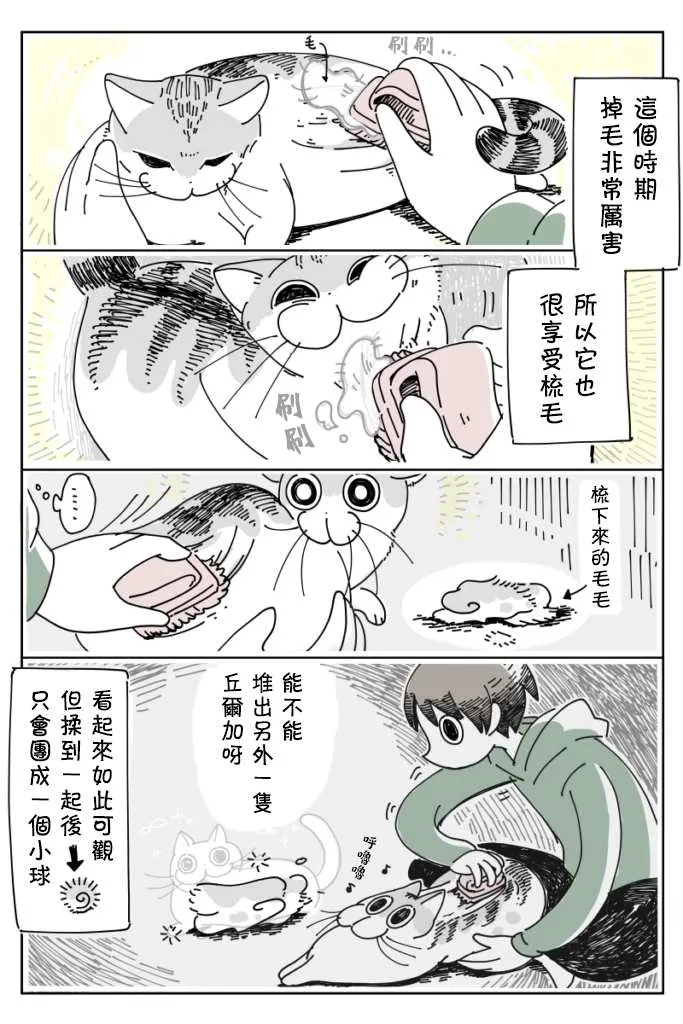 11话 第4页