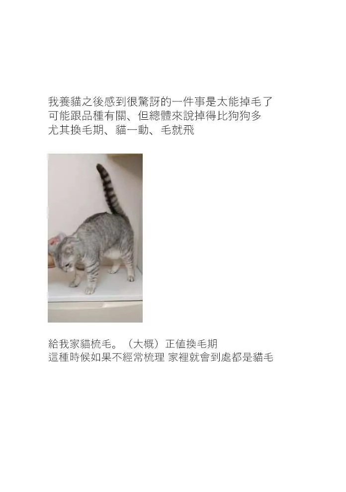 11话 第5页