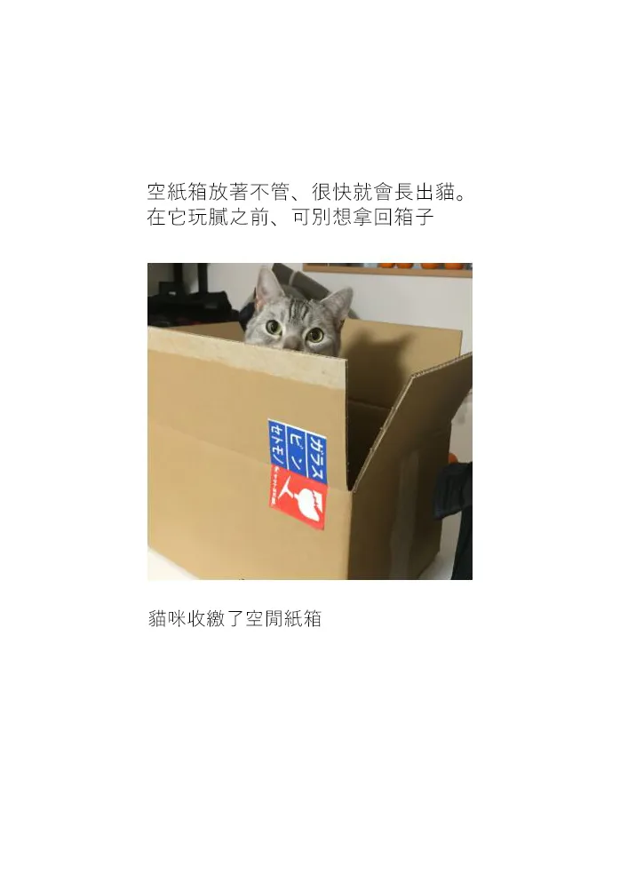 17话 第5页