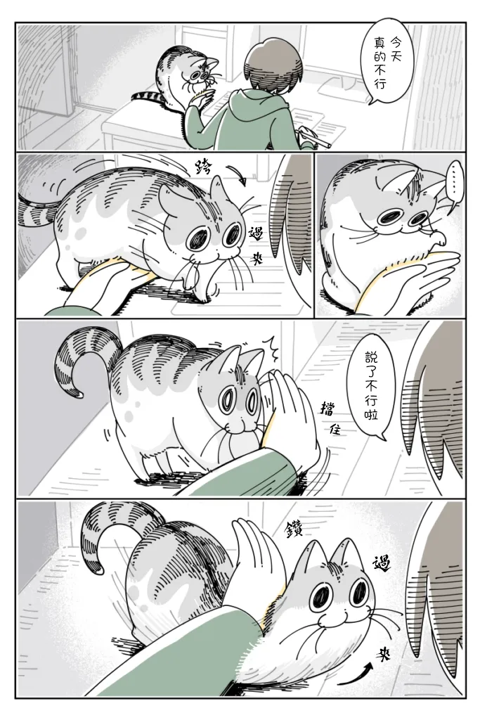 第41话 第2页