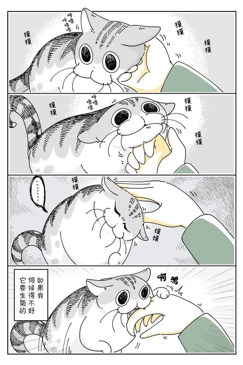 第48话 第2页