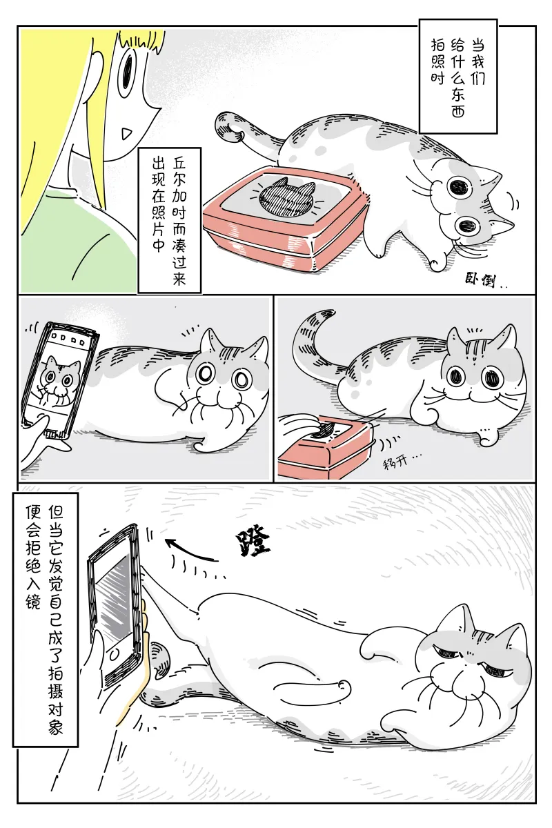 第81话 第3页