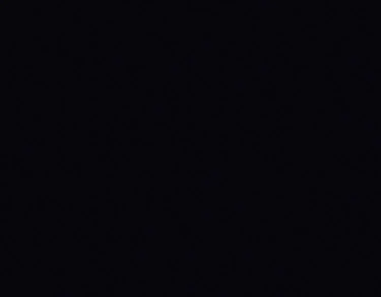 花环依旧 第199页