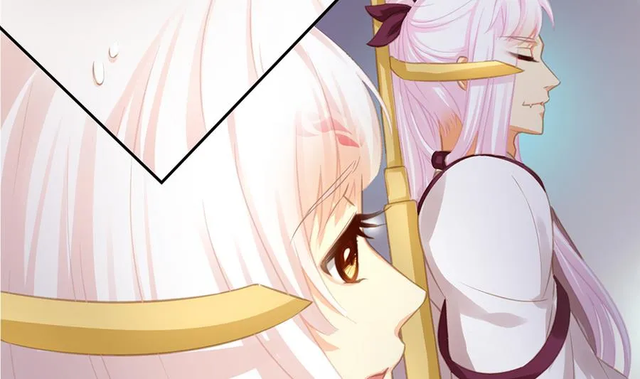 第279劫 赌局 下 第8页