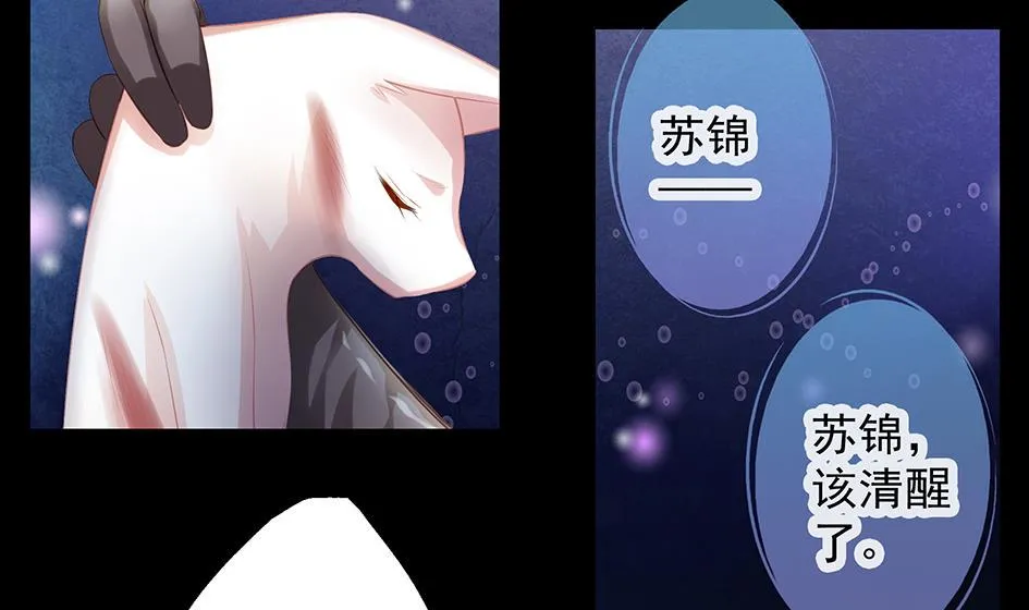 第071劫 苏锦的反击 第44页