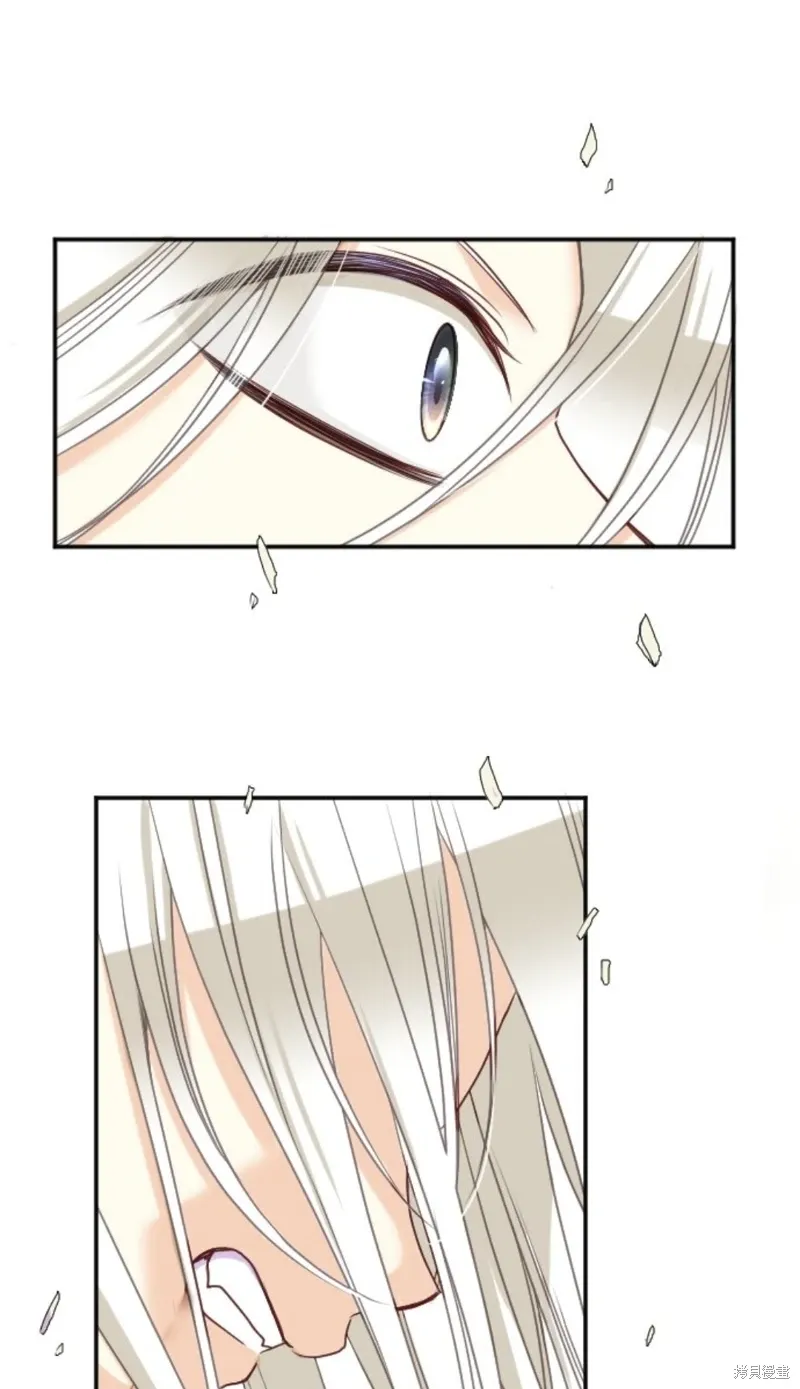 第136话 第41页