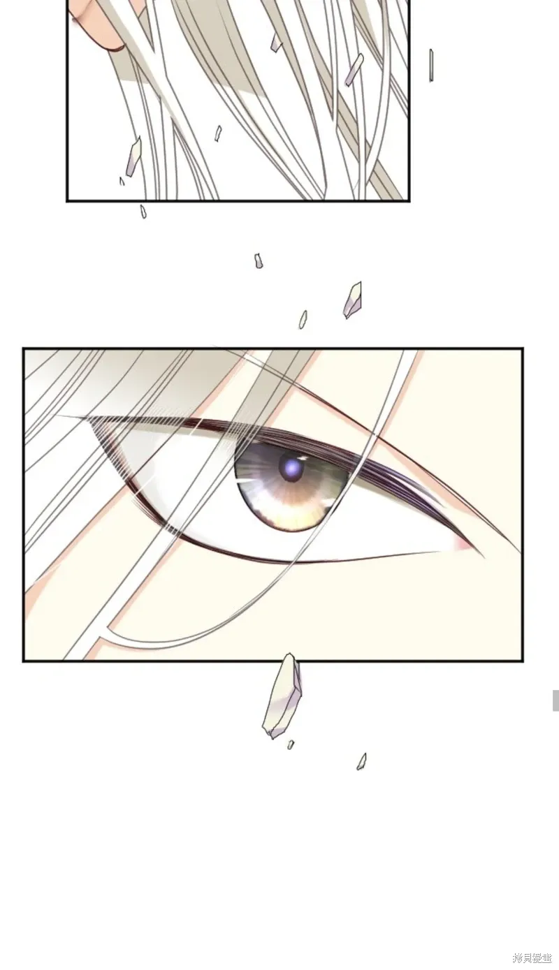 第136话 第42页