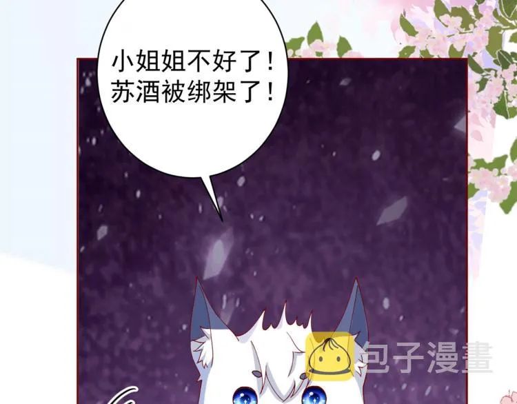 26 全民偶像——绑架 第36页