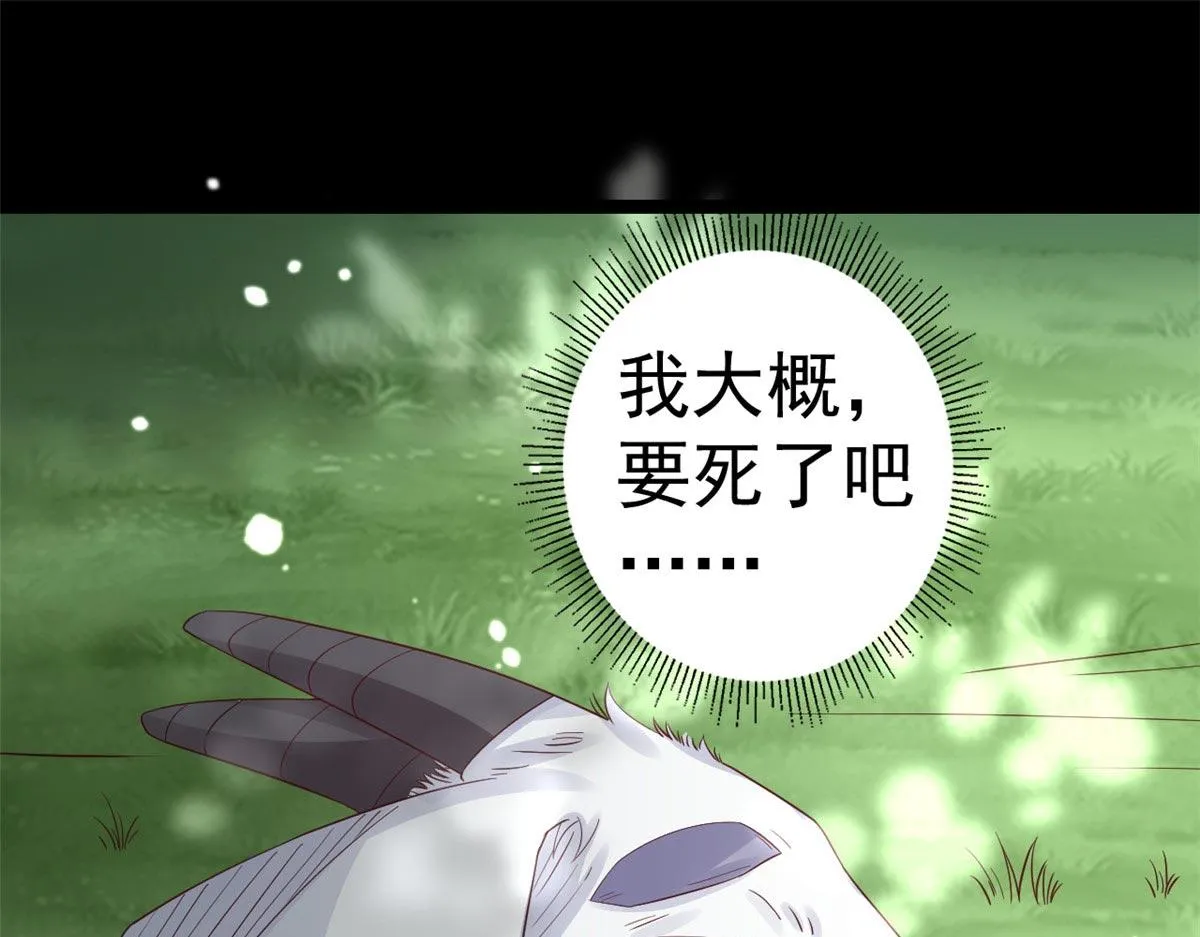 96 无上仙途-新的山大王 第5页