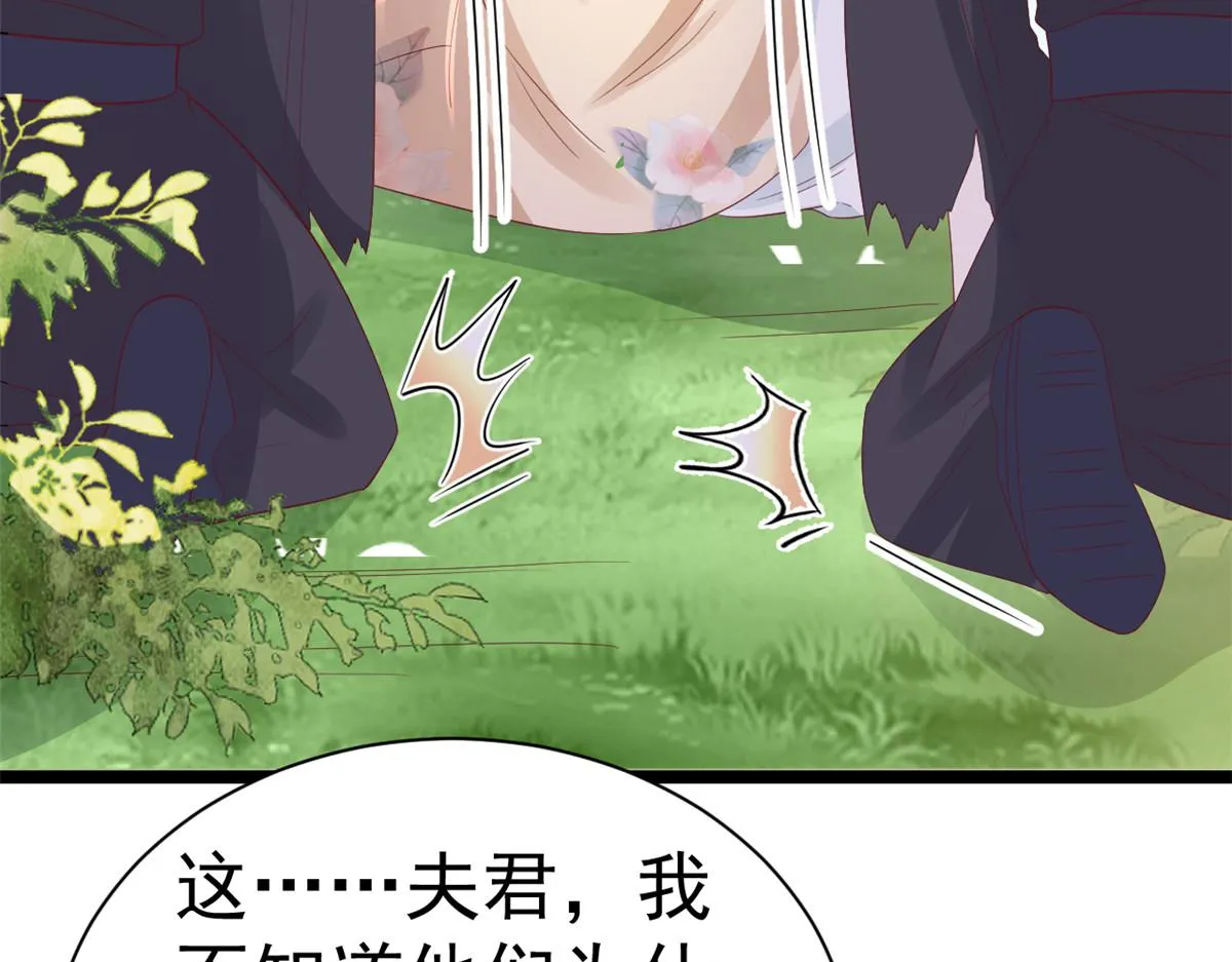 98无上仙途-栽赃？做掉 第42页