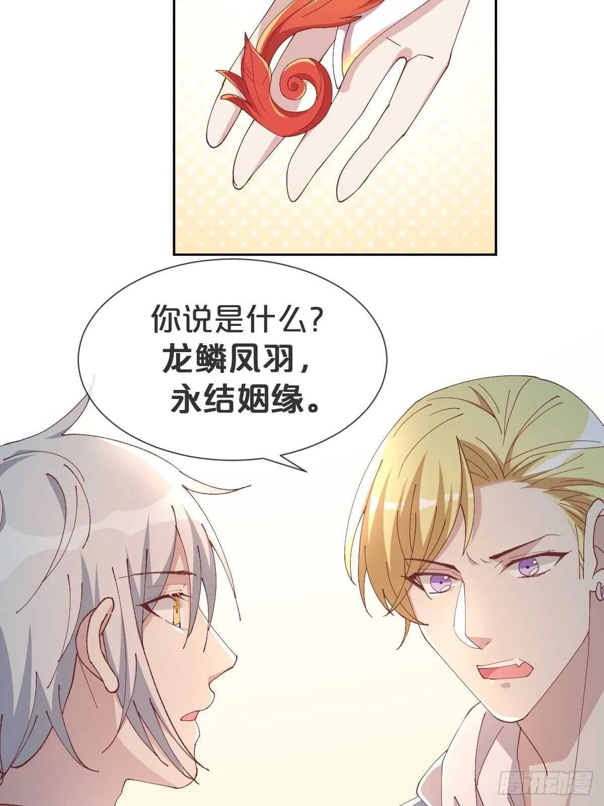 第36话-龙鳞凤羽，永结姻缘 第28页