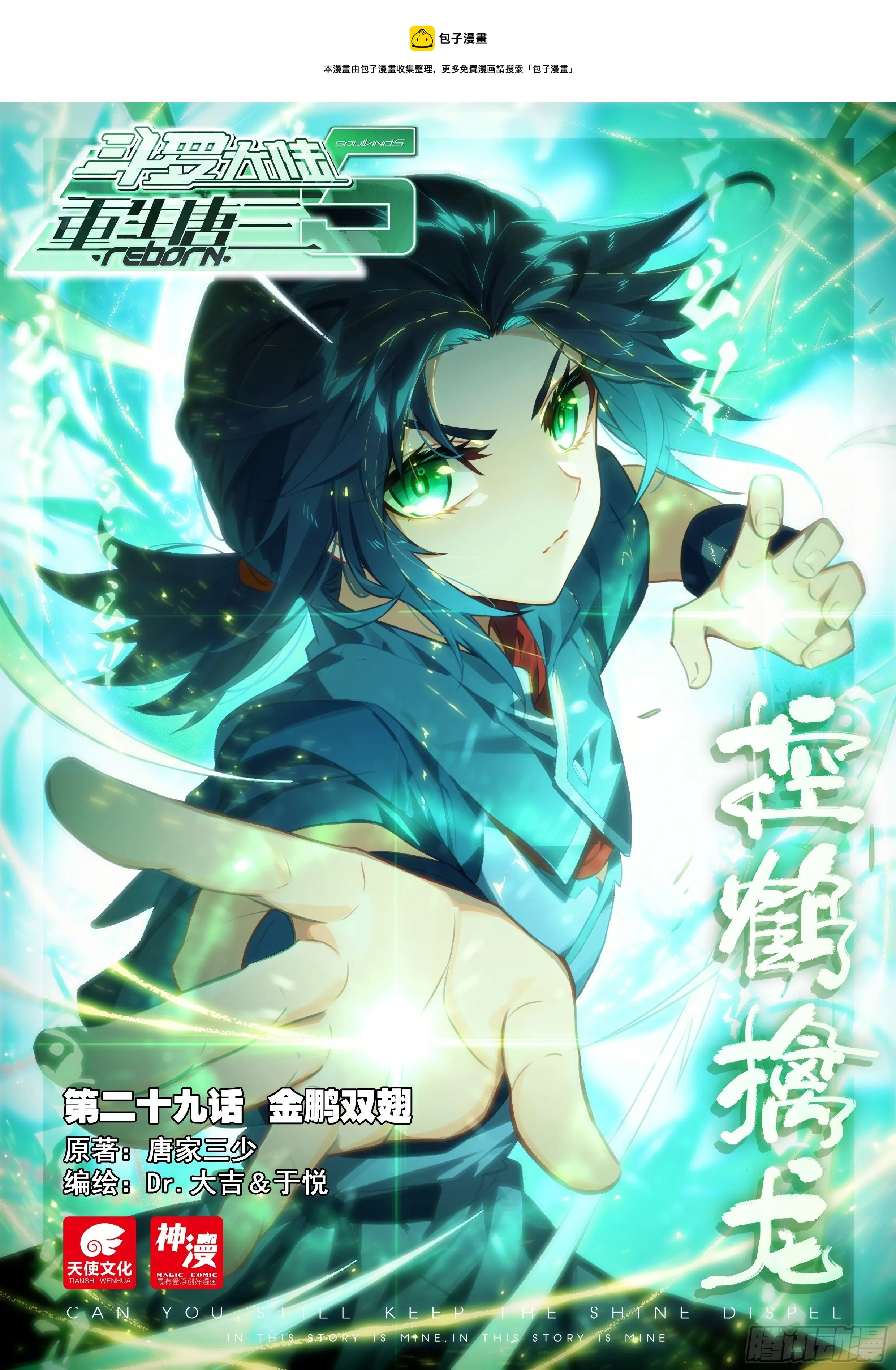 29 金鹏双翅 第1页