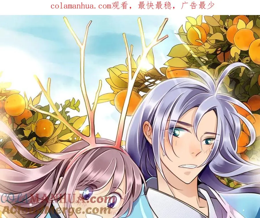 第1-3话 逃婚新郎 第1页