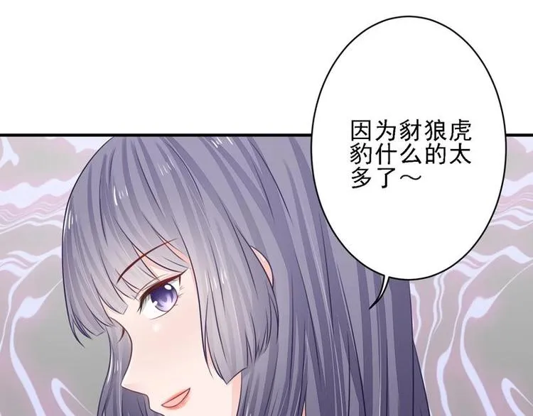 13 第41页