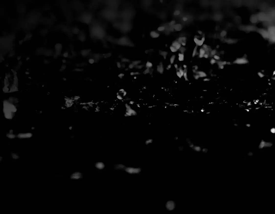 第47话 梦魇 第46页