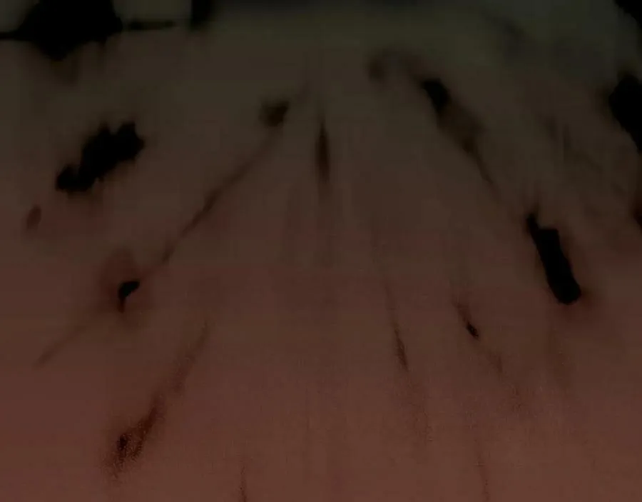 番外3 来我这里吧 第158页