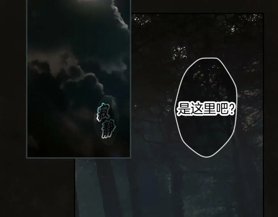 番外1 被赐予命运的女孩 第18页