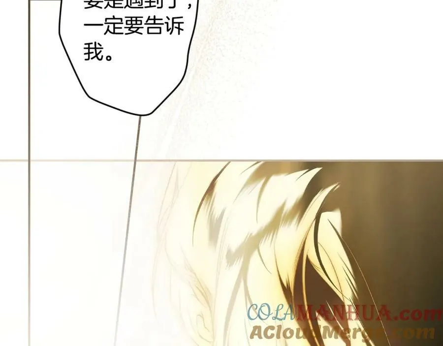 番外1 被赐予命运的女孩 第117页
