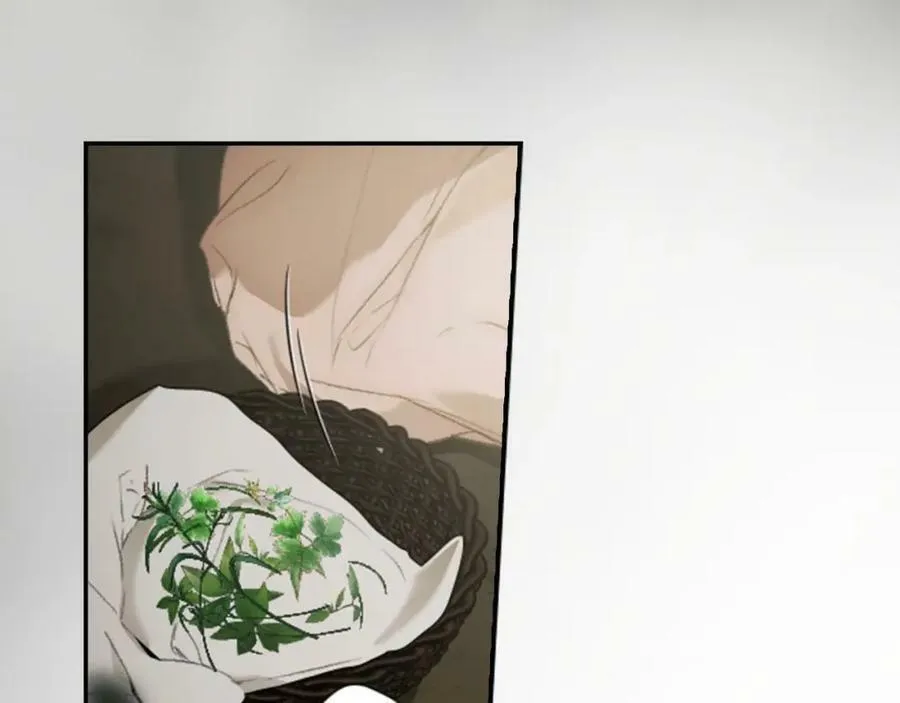 番外1 被赐予命运的女孩 第134页