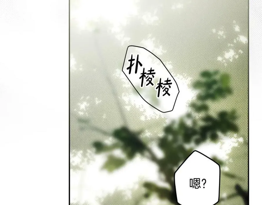 番外1 被赐予命运的女孩 第143页