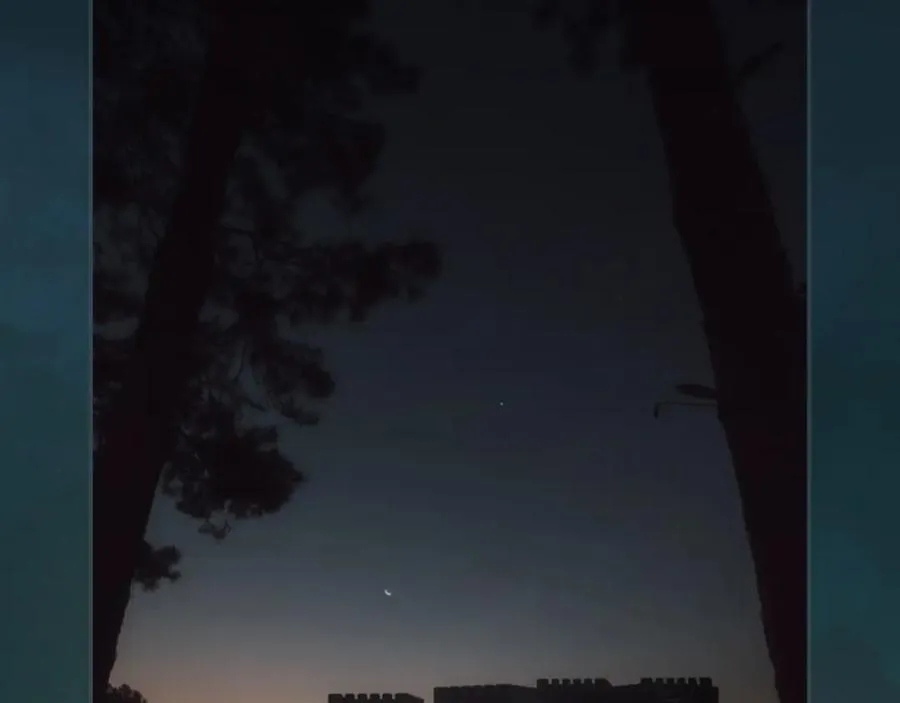 番外6 谢谢你给了我一个家 第67页