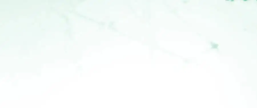 番外9 名为憎恶的情感 第103页